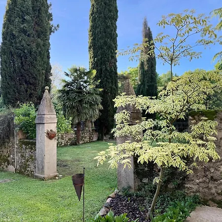 Ca Damiani Hotel Caneva